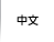 中文